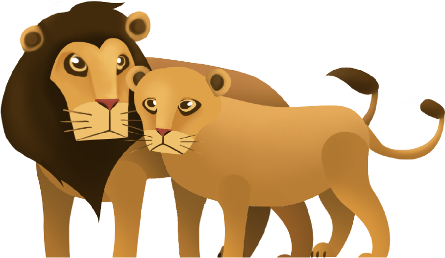 獅子與斑馬